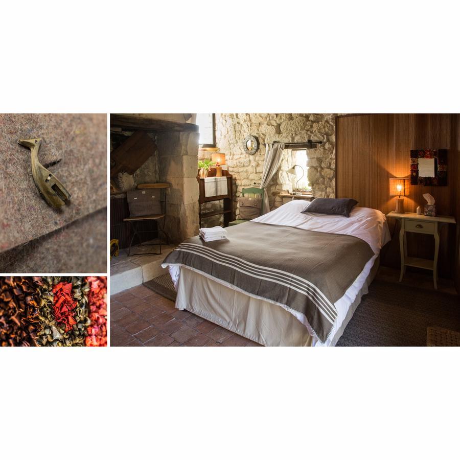 La Grande Maison D'Arthenay Bed and Breakfast Saumur Eksteriør billede