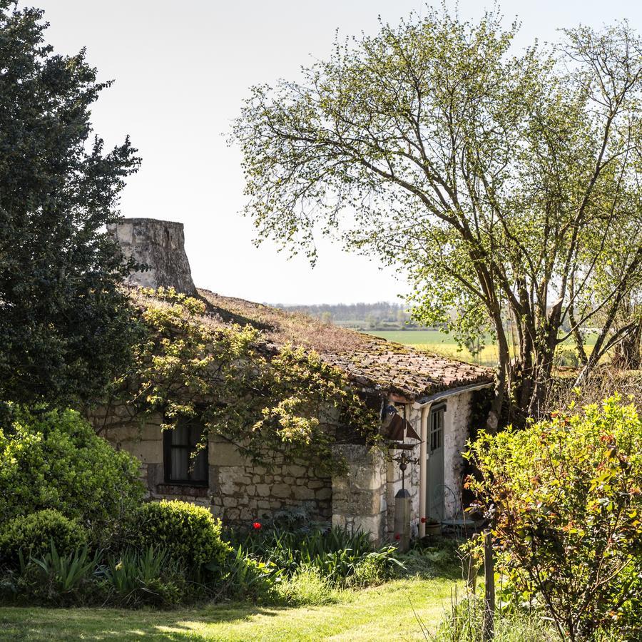 La Grande Maison D'Arthenay Bed and Breakfast Saumur Eksteriør billede