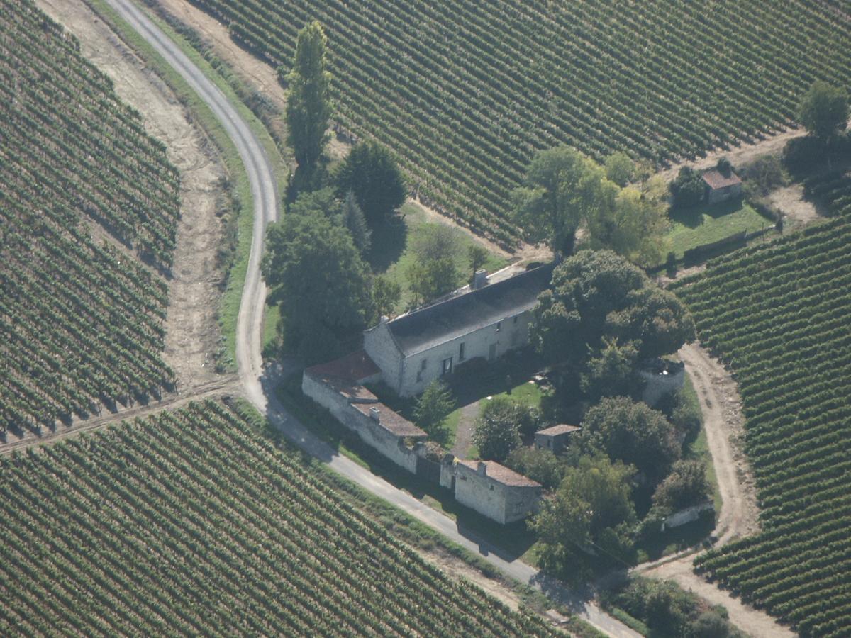 La Grande Maison D'Arthenay Bed and Breakfast Saumur Eksteriør billede